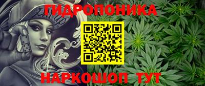 apvp Усть-Илимск