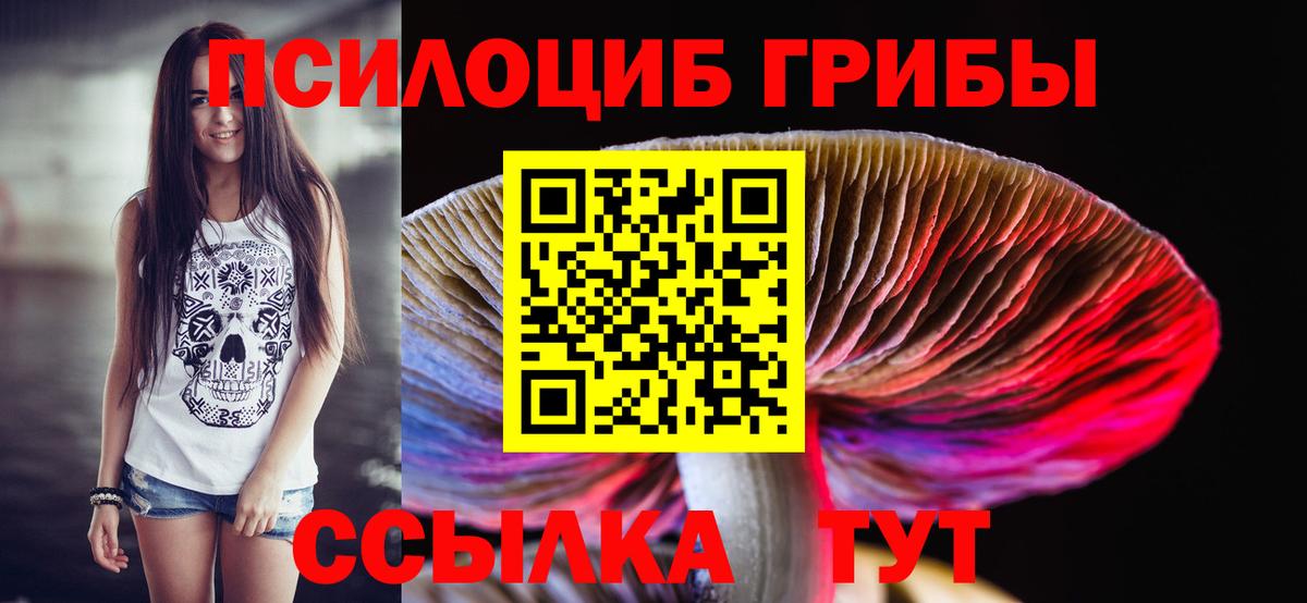Галлюциногенные грибы GOLDEN TEACHER  Вход с VPN  Псилоцибиновые грибы MAGIC MUSHROOMS  Борзя 